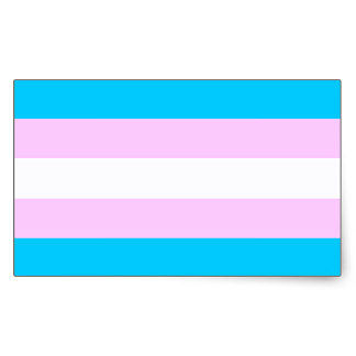 a blue, pink and white flag