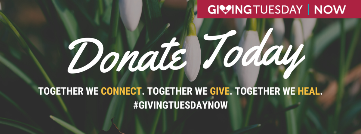 GivingTuesdayNow: Donate today. Together we connect. Together we give. Together we heal. #GivingTuesdayNow. Text over image of white snowdrop flowers and their green stalks and leaves.